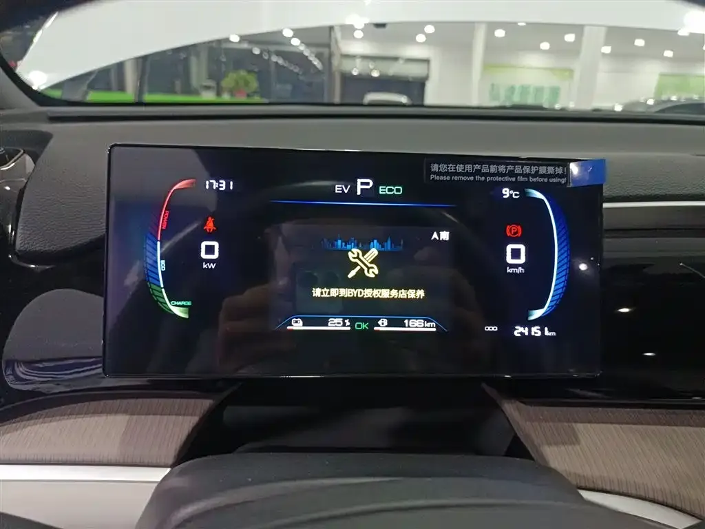 BYD Pro New Energy 2024 из CN, фото 2