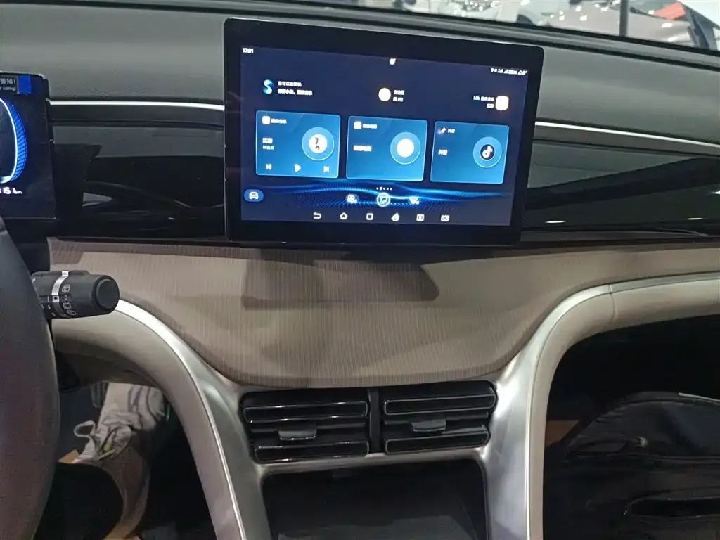 BYD Pro New Energy 2024 из CN, фото 10