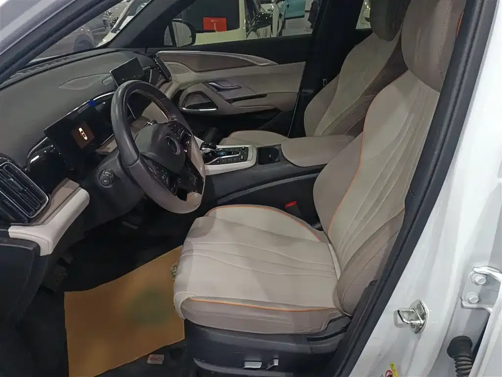 BYD Pro New Energy 2024 из CN, фото 5