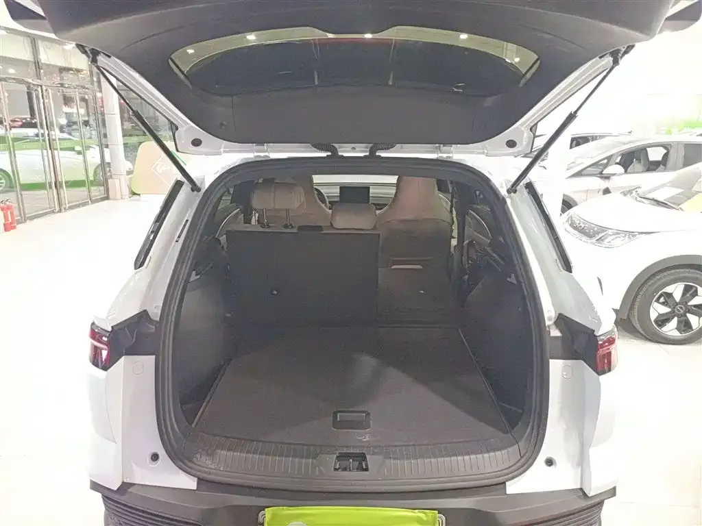 BYD Pro New Energy 2024 из CN, фото 9