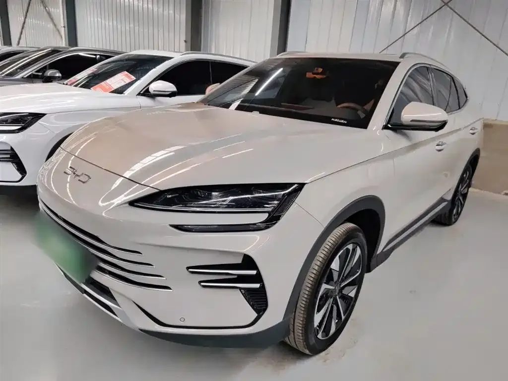 BYD PLUS New Energy 2024 из CN, фото 1