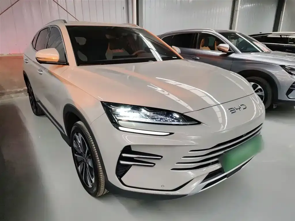 BYD PLUS New Energy 2024 из CN, фото 9