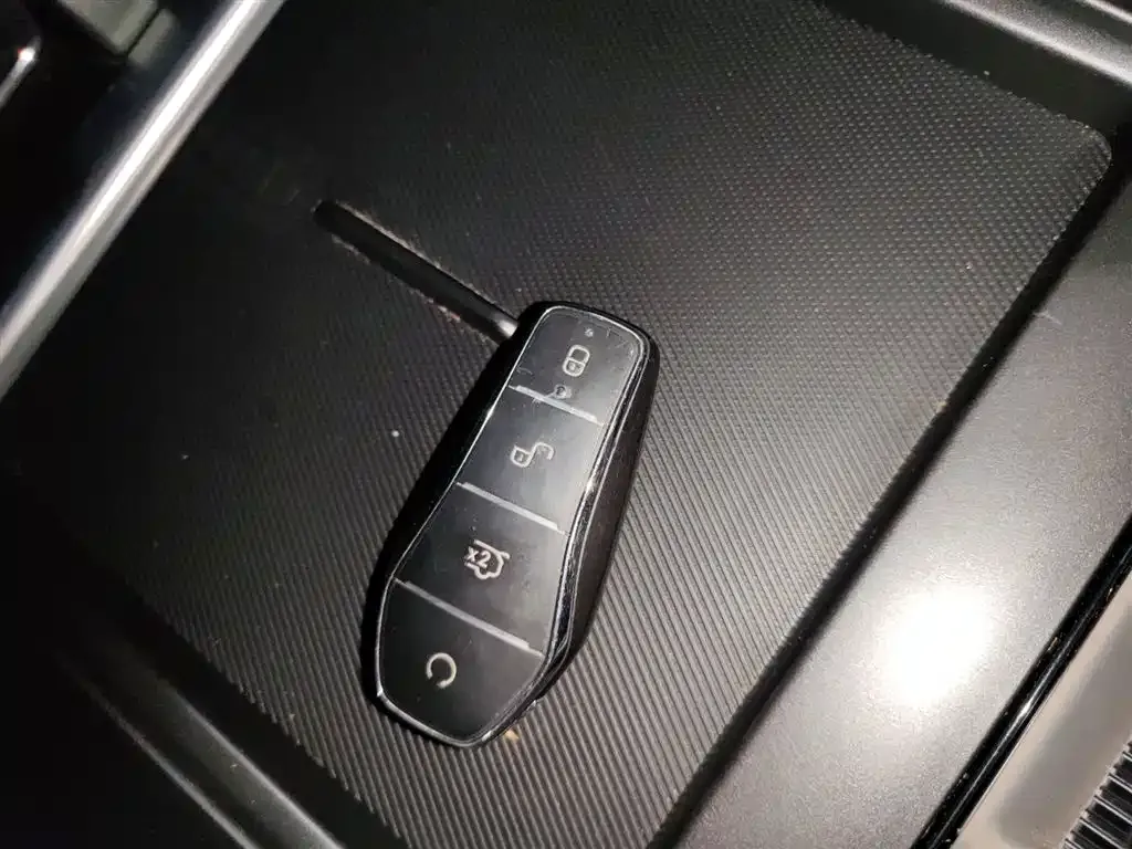 BYD PLUS New Energy 2024 из CN, фото 4