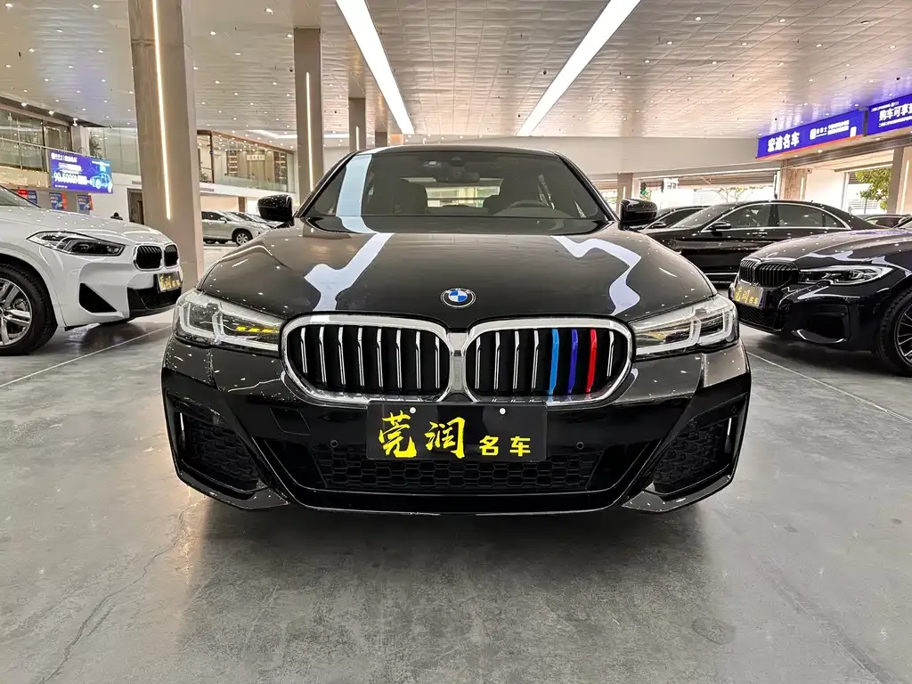BMW 5 Series 2022 из CN, фото 8