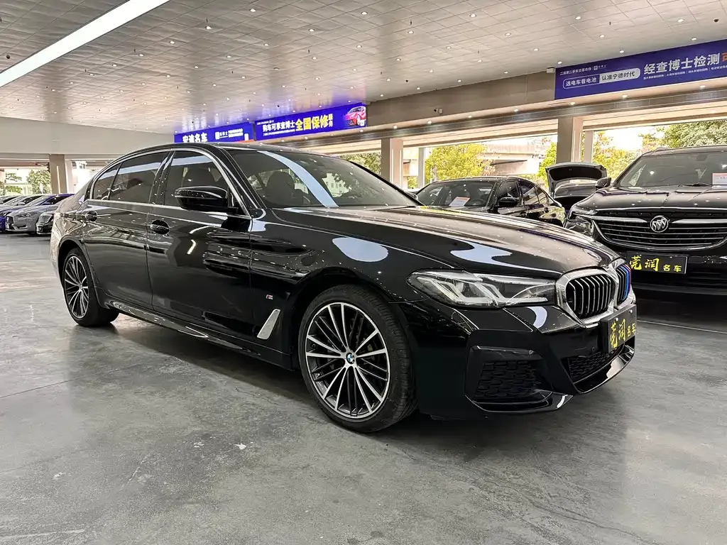 BMW 5 Series 2022 из CN, фото 7