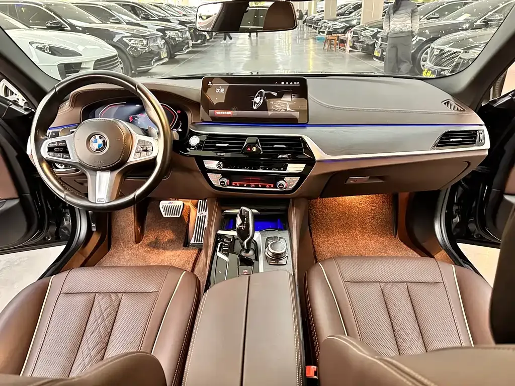 BMW 5 Series 2022 из CN, фото 10