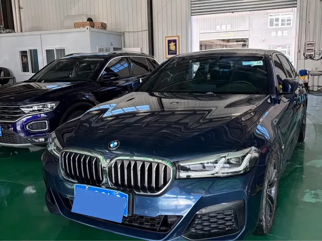 BMW 5 Series 2021 из CN, фото 1
