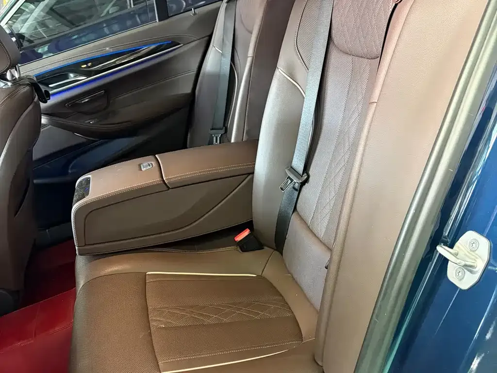 BMW 5 Series 2021 из CN, фото 4