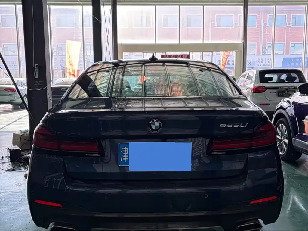 BMW 5 Series 2021 из CN, фото 5