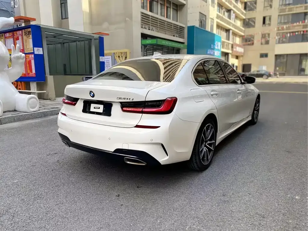 BMW 3 Series 2021 из CN, фото 7