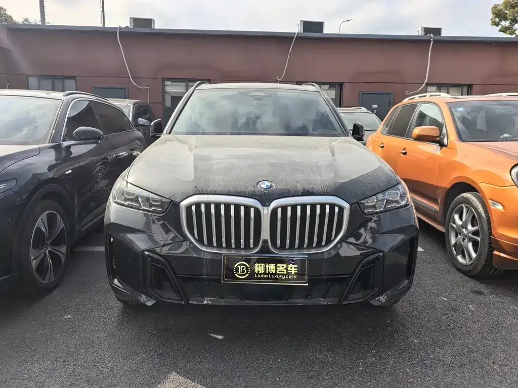 BMW X5 2025 из CN, фото 3
