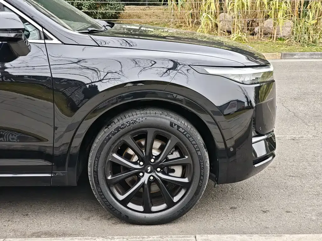 Li Auto ONE 2021 из CN, фото 7