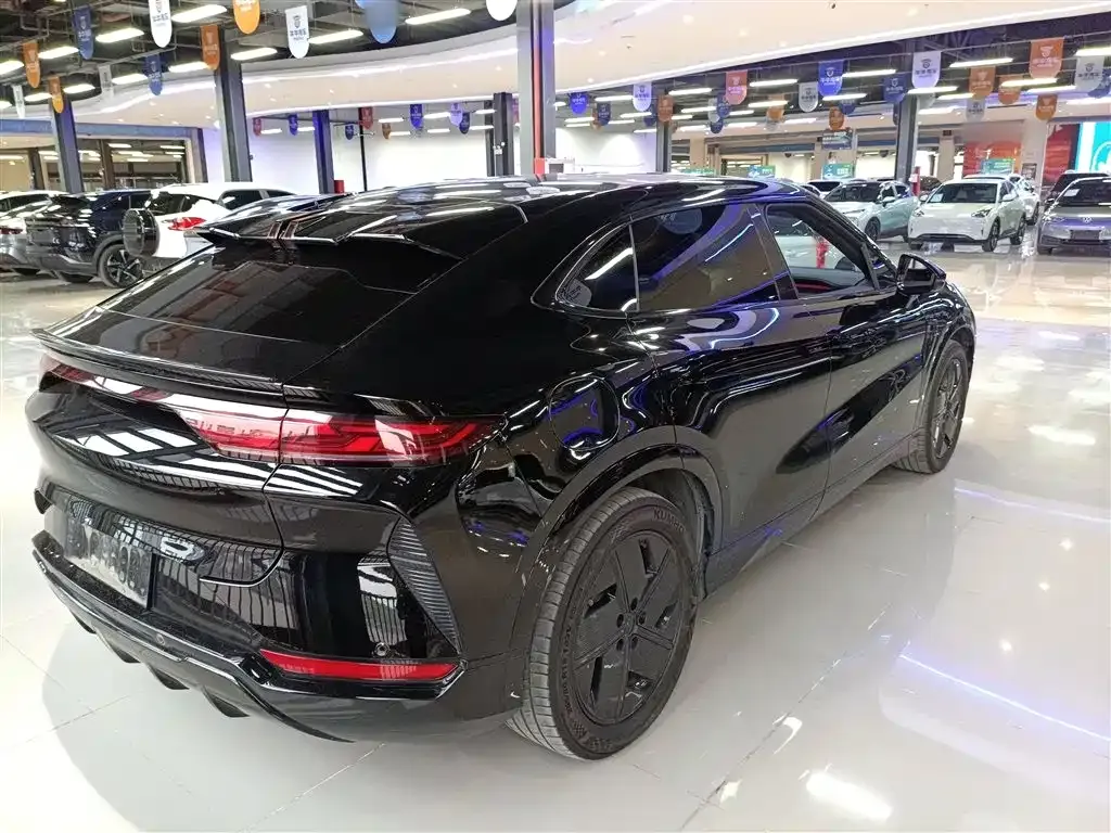 BYD L EV 2024 из CN, фото 4
