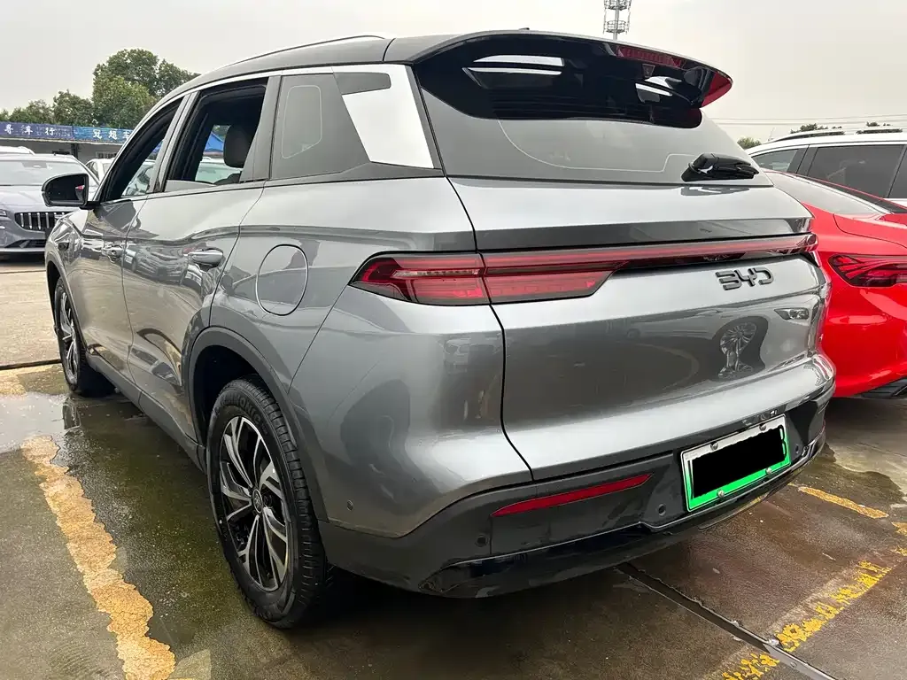 BYD Pro New Energy 2024 из CN, фото 9