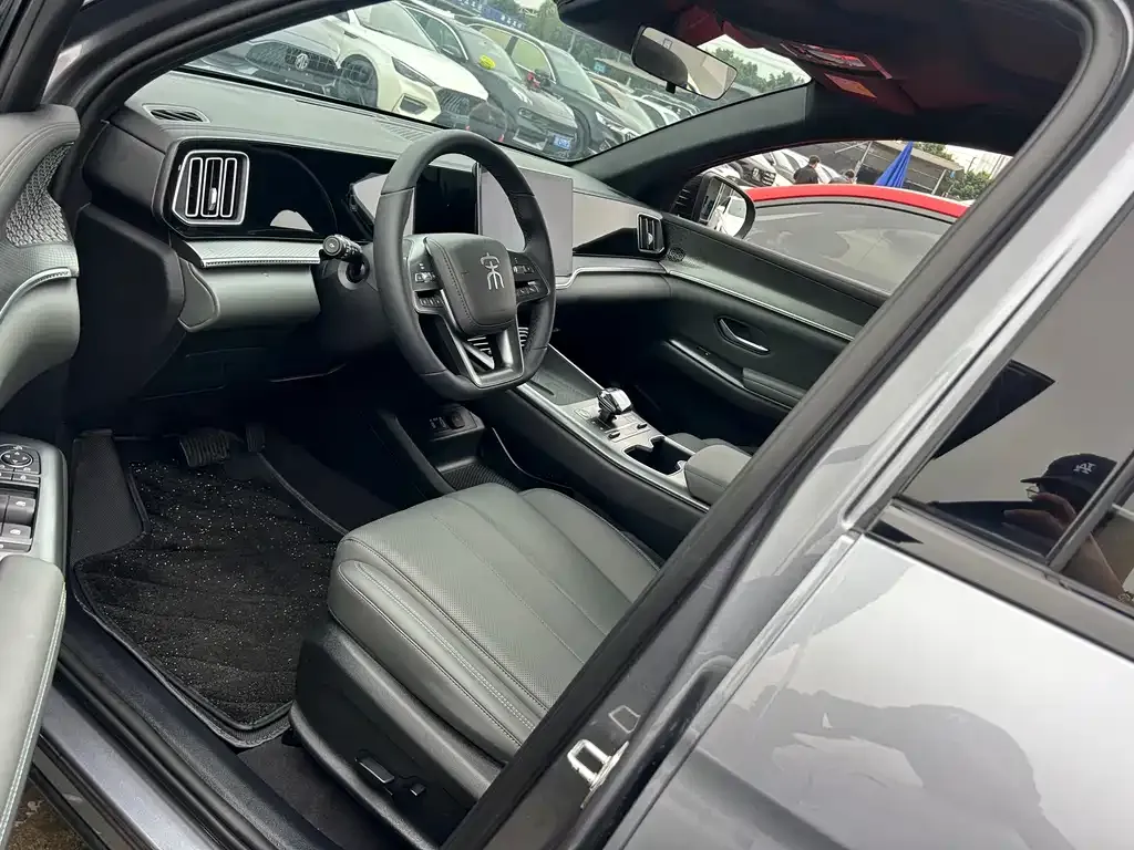 BYD Pro New Energy 2024 из CN, фото 3