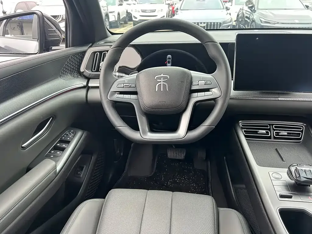 BYD Pro New Energy 2024 из CN, фото 5