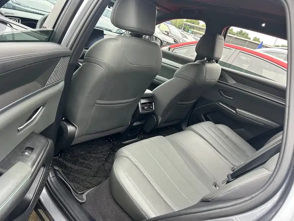 BYD Pro New Energy 2024 из CN, фото 7