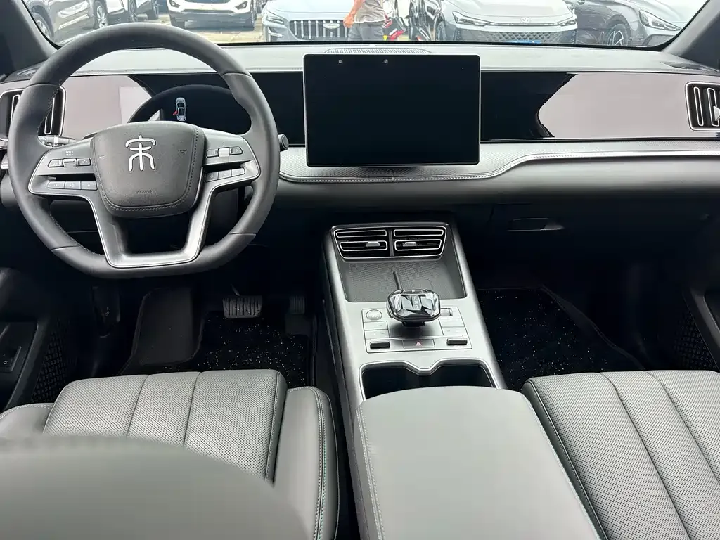 BYD Pro New Energy 2024 из CN, фото 8