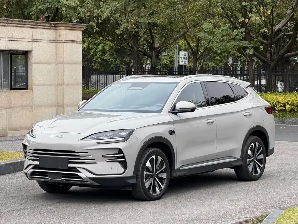 BYD PLUS New Energy 2025 из CN, фото 1