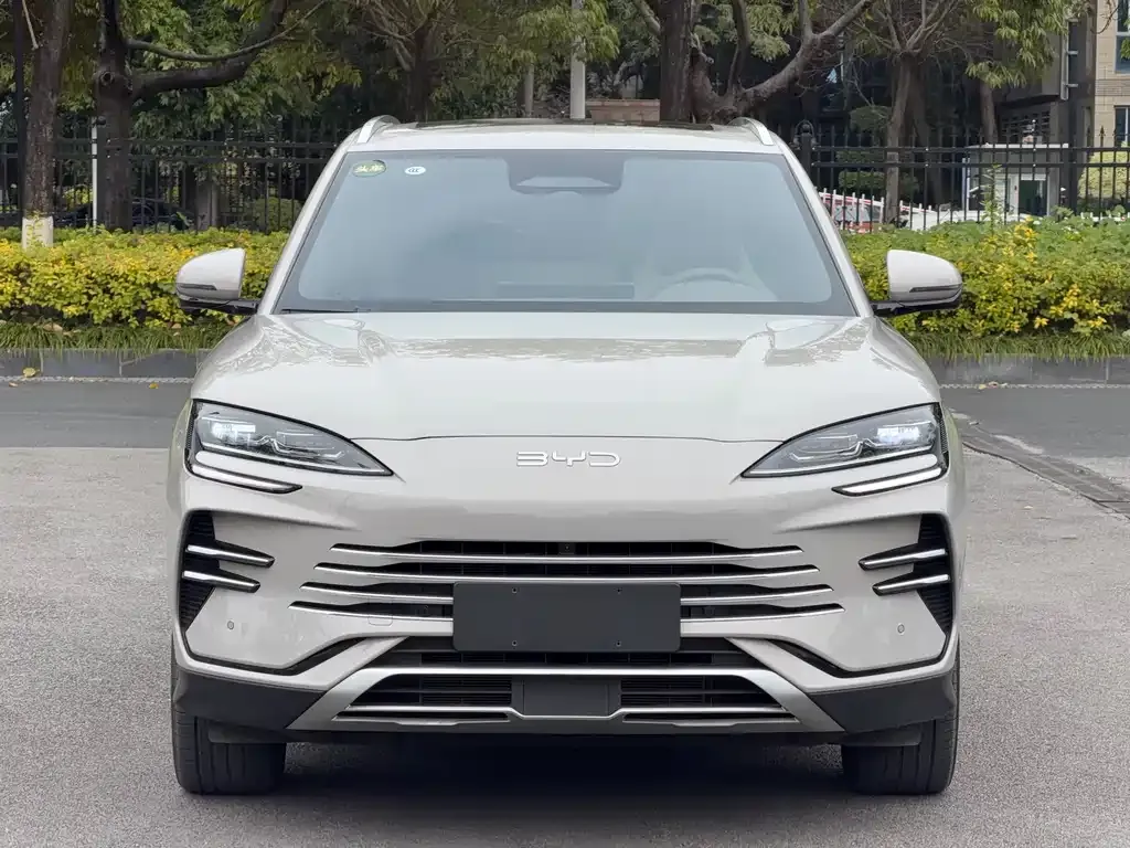BYD PLUS New Energy 2025 из CN, фото 3