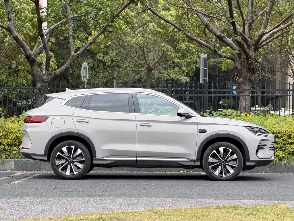 BYD PLUS New Energy 2025 из CN, фото 10