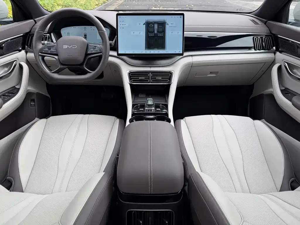 BYD PLUS New Energy 2025 из CN, фото 4