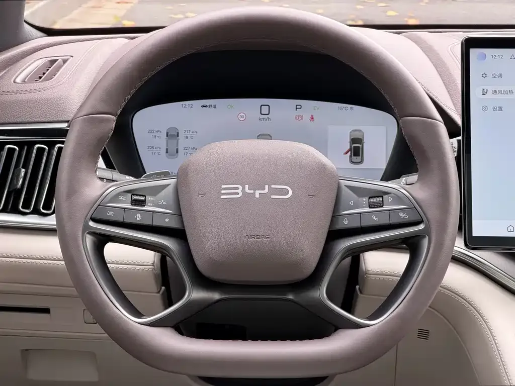 BYD PLUS New Energy 2025 из CN, фото 8
