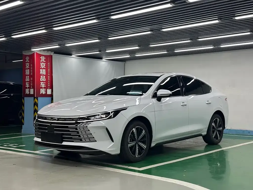 BYD Destroyer 05 2024 из CN, фото 1