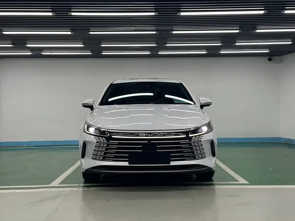 BYD Destroyer 05 2024 из CN, фото 7