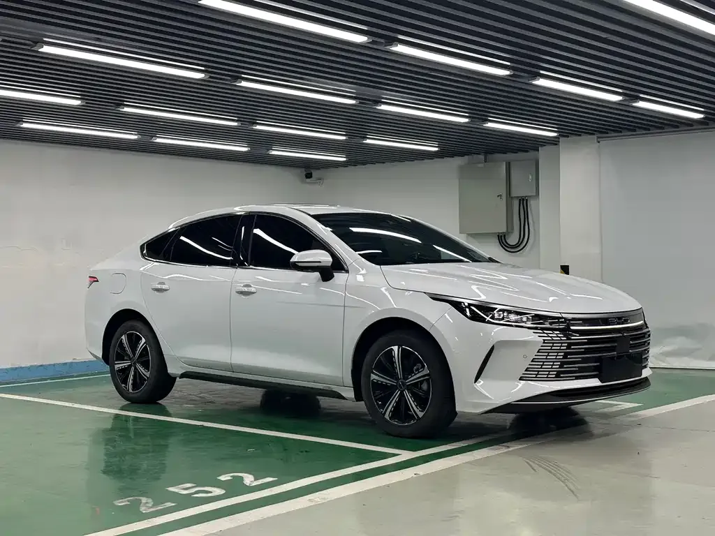 BYD Destroyer 05 2024 из CN, фото 10