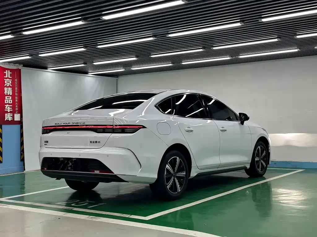 BYD Destroyer 05 2024 из CN, фото 9