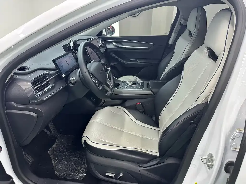 BYD Destroyer 05 2024 из CN, фото 4