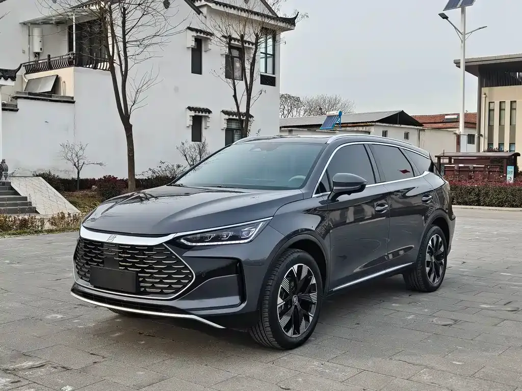 BYD Tang New Energy 2024 из CN, фото 1