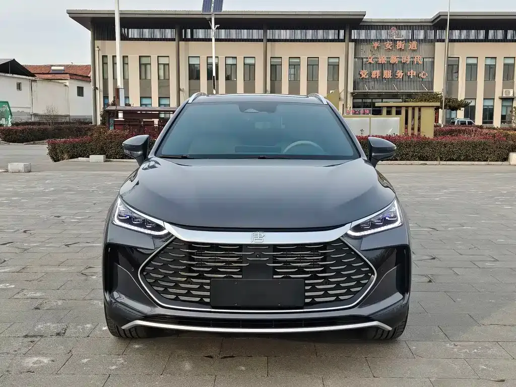 BYD Tang New Energy 2024 из CN, фото 3