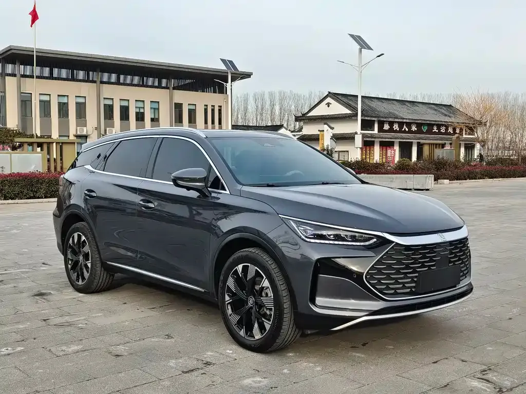 BYD Tang New Energy 2024 из CN, фото 2