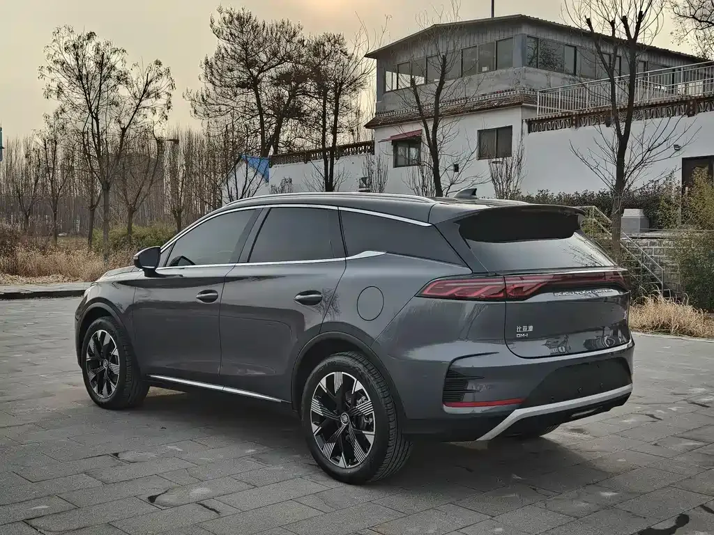 BYD Tang New Energy 2024 из CN, фото 5