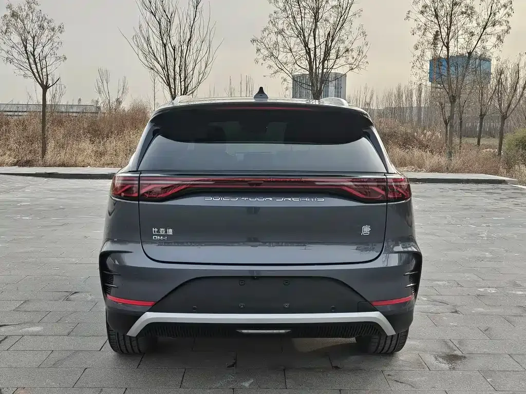 BYD Tang New Energy 2024 из CN, фото 4