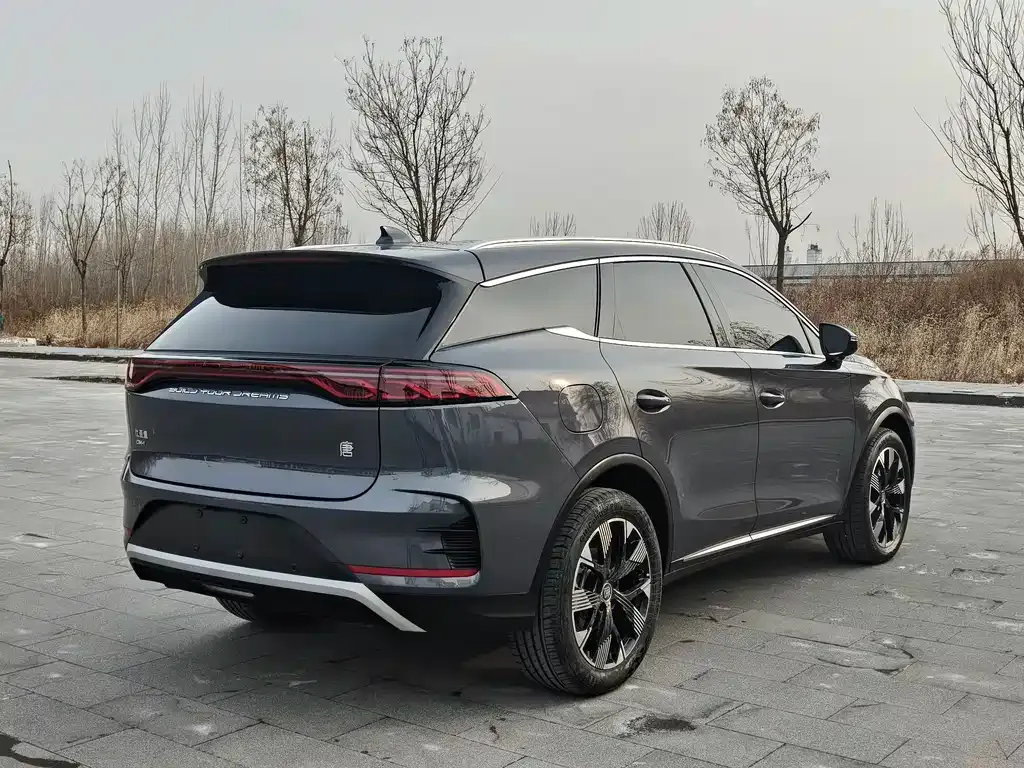 BYD Tang New Energy 2024 из CN, фото 7