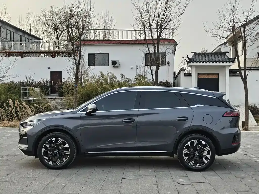 BYD Tang New Energy 2024 из CN, фото 10