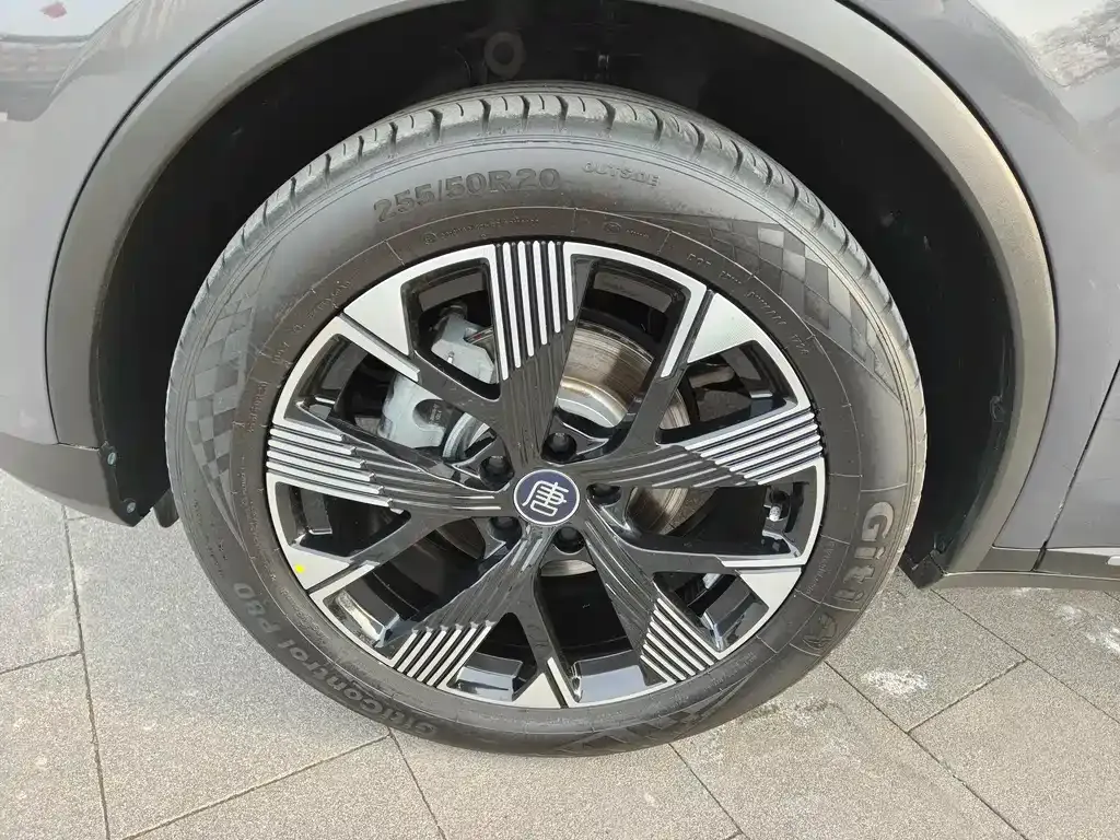 BYD Tang New Energy 2024 из CN, фото 8