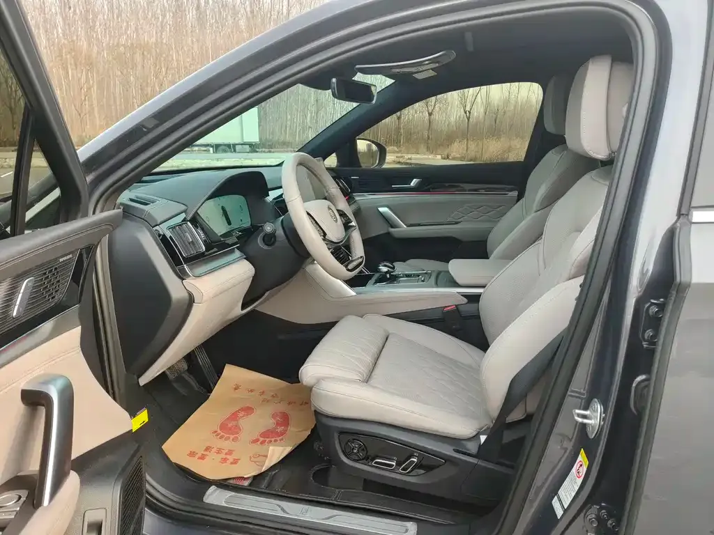 BYD Tang New Energy 2024 из CN, фото 6