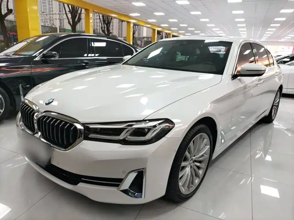 BMW 5 Series 2023 из CN, фото 7