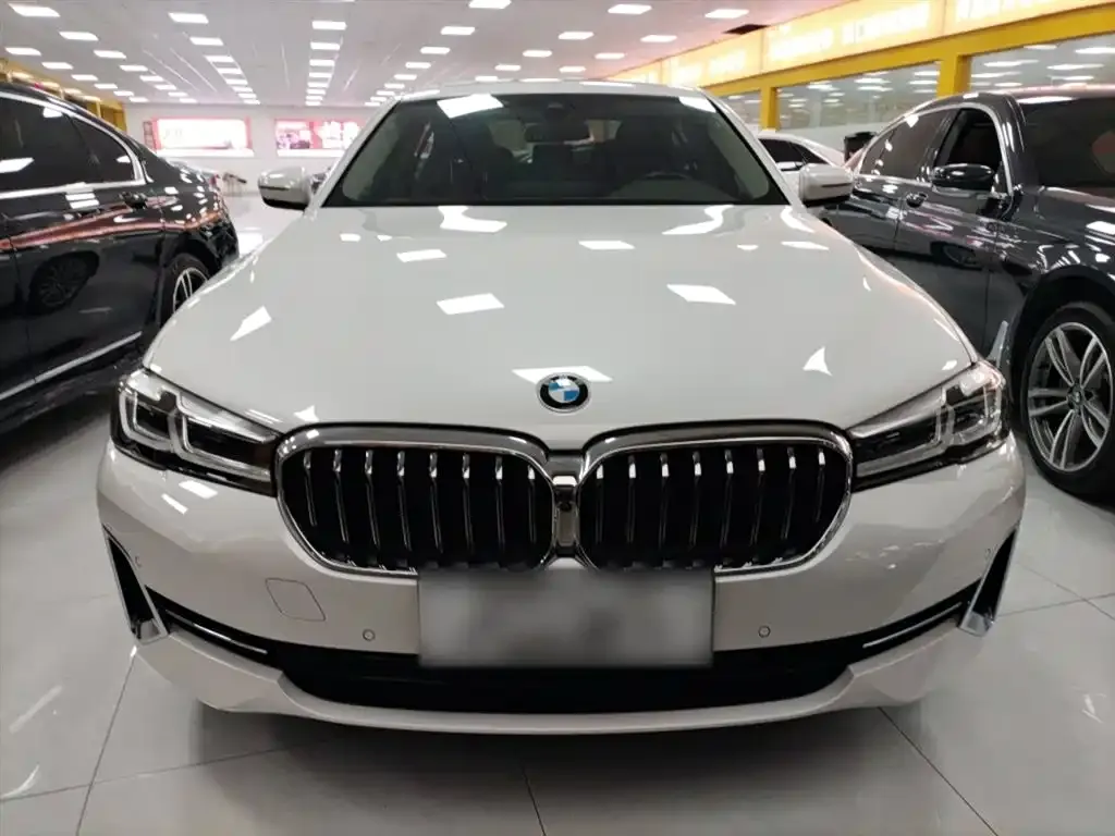 BMW 5 Series 2023 из CN, фото 5