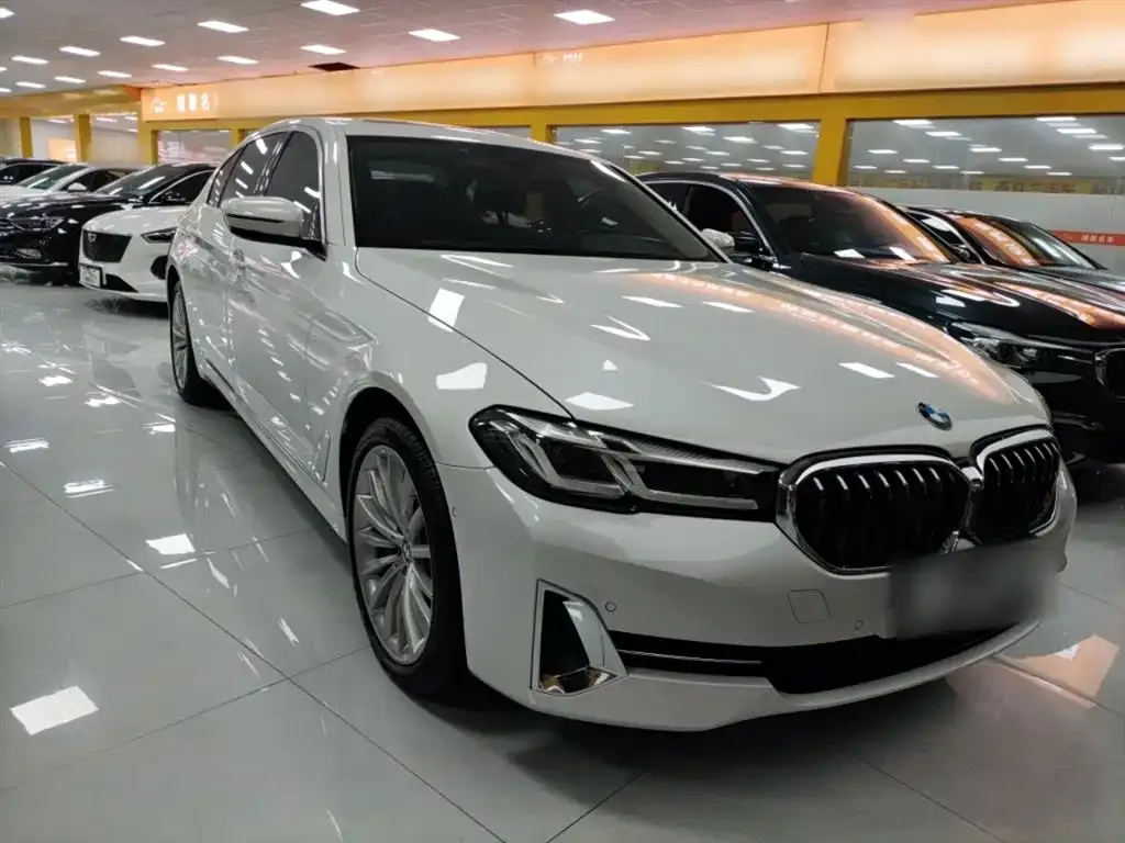BMW 5 Series 2023 из CN, фото 6