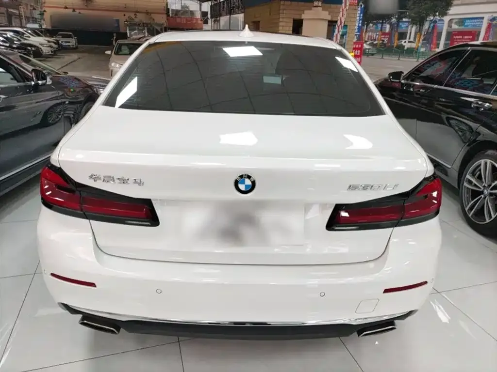 BMW 5 Series 2023 из CN, фото 9