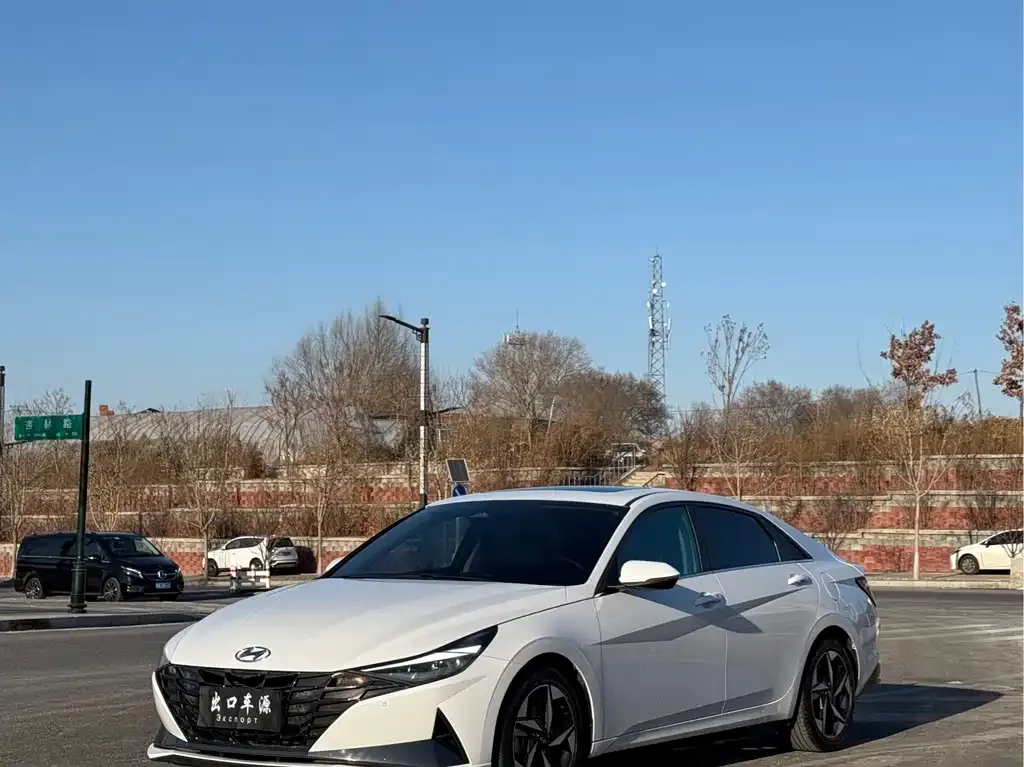 Hyundai Elantra 2021 из CN, фото 1