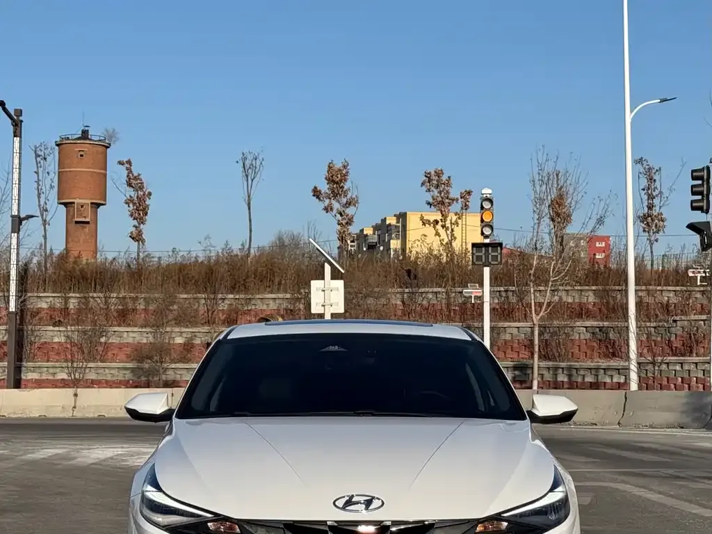Hyundai Elantra 2021 из CN, фото 2