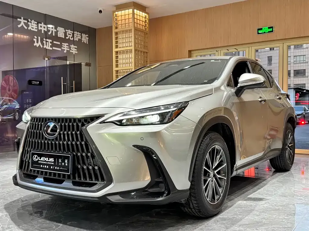 Lexus NX 2023 из CN, фото 1