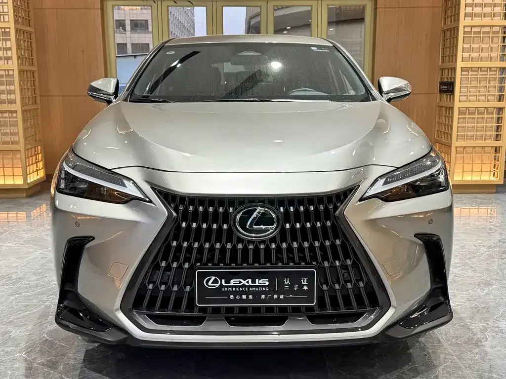 Lexus NX 2023 из CN, фото 9