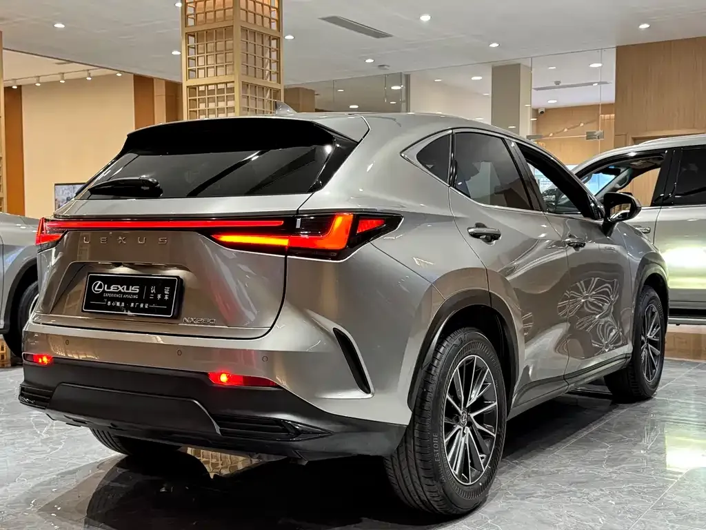 Lexus NX 2023 из CN, фото 6